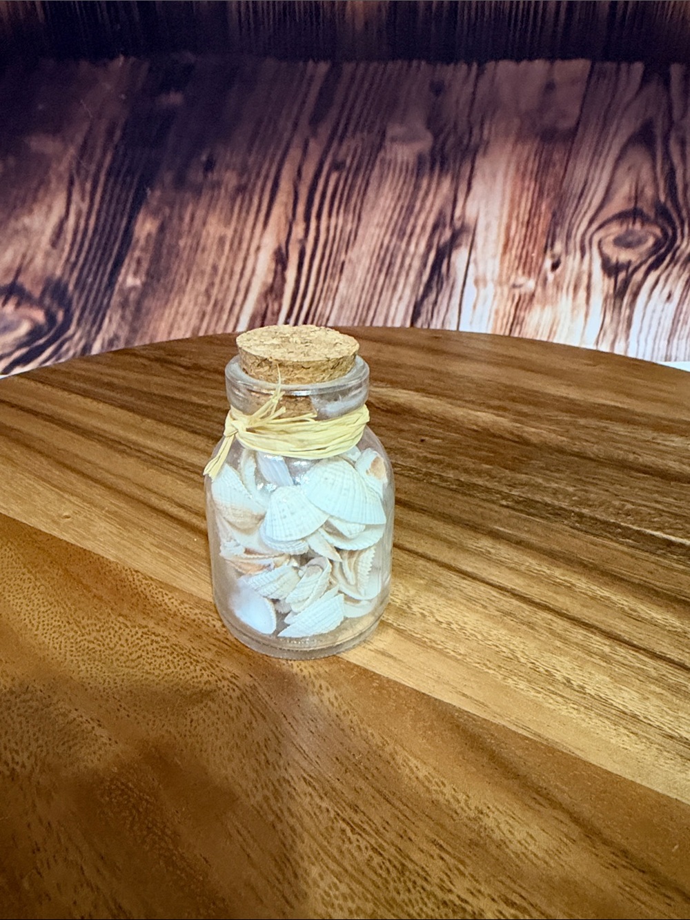 Coastal White Shell Jar with Cork Lid - Decorative Bath Accent